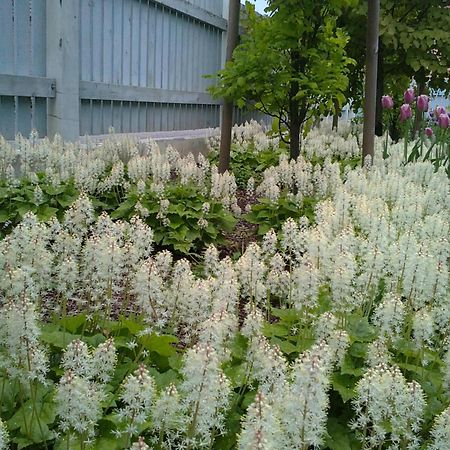 Lahe Guesthouse Haapsalu Exterior foto